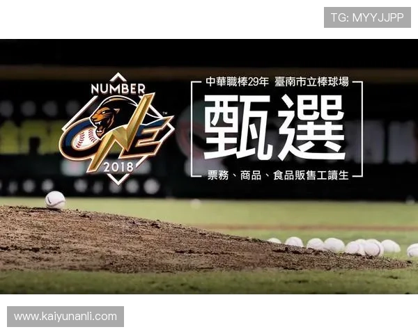 新手必看开云体育网页版入口操作指南，轻松掌握登录技巧享受精彩体育赛事