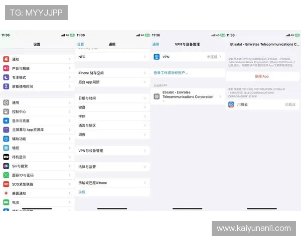 苹果用户开云官方下载渠道推荐，避免非官方版本带来的安全隐患