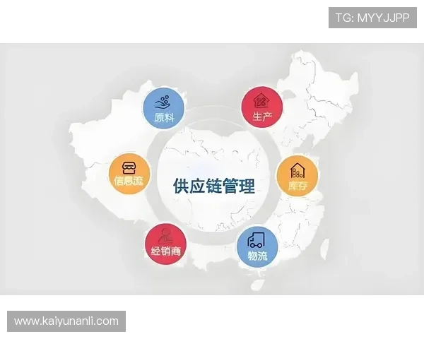 开云在线客服网页版个性化定制方案，满足不同企业的多样化需求